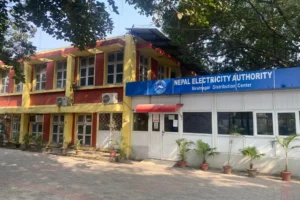 विद्युत महसुल नतिर्नेहरूमाथि कडा कारबाही, २४९ उपभोक्ताको लाइन काटियो